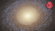 Stars Universe GIF by ESA/Hubble Space Telescope