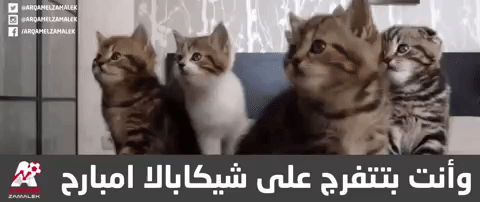 Arqam giphygifgrabber GIF