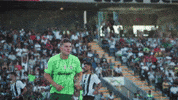 Football Soccer GIF by Sporting CP