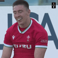 Wales Rugby GIF by Guinness Six Nations