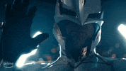 Amazon Studios Show GIF by Prime Video Comedy
