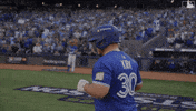 Celebrate Home Run GIF by Toronto Blue Jays