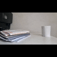 Stop Motion Run GIF by dan.bahia.dan