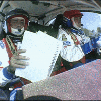 Driving Carlos Sainz GIF by FIA World Rally Championship