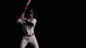 University Of Louisville Baseball GIF by Louisville Cardinals