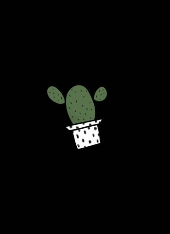 Sharpthoughtlings cactus cute cactus sharpthoughtlings boho cactus GIF