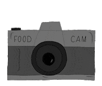 rubywly camera flash food photography rubywly Sticker