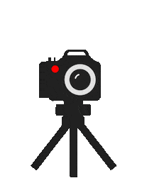 Youtubecreator Sticker by YouTube