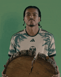 Portland Timbers Sport GIF by Timbers