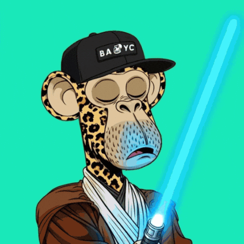 Star Wars Nft GIF by Boring Merch