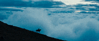 neonrated neon neonrated monos monosfilm GIF