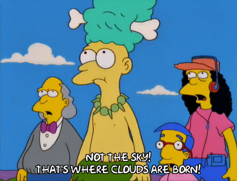 episode 2 millhouse van houten GIF