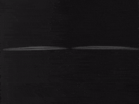 Cartoon gif. Owl's eyes open wide and the camera pans out to show it menacingly standing on a branch. It puffs up as the moon shines down on it and leaves whip in the wind.