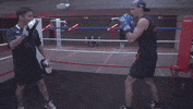 ver formula 1 GIF by Red Bull Racing