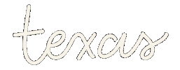San Antonio School Sticker