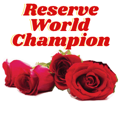 Morganhorse Sticker by Alden Customs