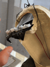 Onf Nfb GIF by Alex Boya