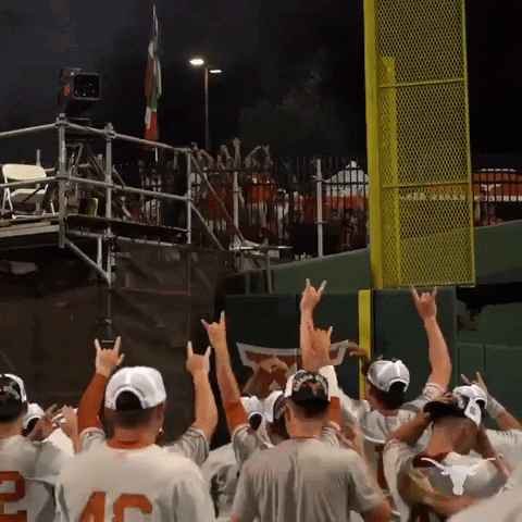 Occupy College World Series GIF by Texas Longhorns