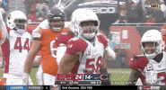 Arizona Cardinals Football GIF by NFL