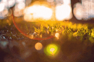 Sunset Sunlight GIF by subtlestrokes