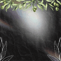 Palestine Gaza GIF by violeta.exa