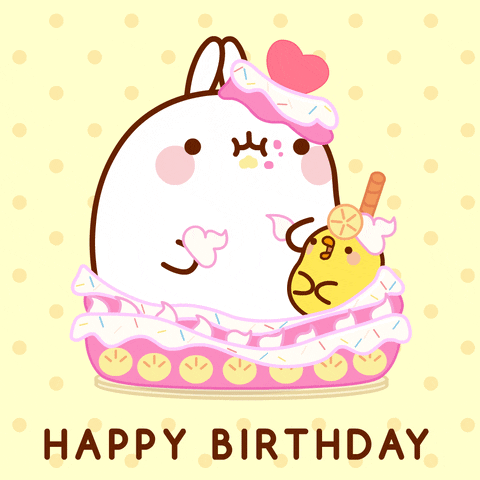 Excited Happy Birthday GIF by Molang