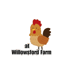 Farm Chickens Sticker by WIllowsford Conservancy