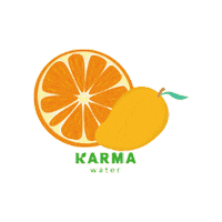 Immune System Orange Sticker by Karma Water