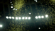 GIF by Golden State Warriors