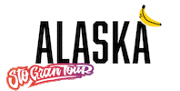 Alaska Sgt Sticker by Sto Gran Tour
