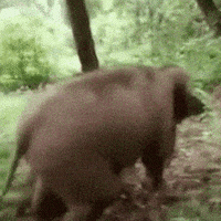 week GIF