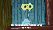 season 9 GIF by SpongeBob SquarePants