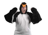 festival yes Sticker by Universal Music Deutschland