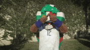 Liga Mx Football GIF by MiSelecciónMX