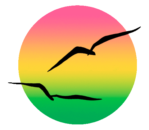 Pink Rainbow Sticker by Free & Easy