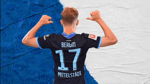 Bundesliga Berlin GIF by Hertha BSC