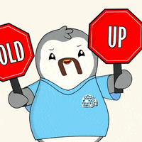 Hold On What GIF by Pudgy Penguins