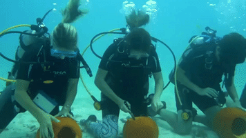Florida Divers Carve Underwater Pumpkins