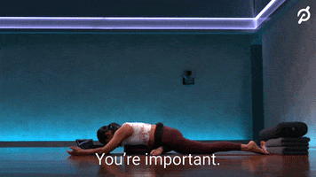 Thanksgiving GIF by Peloton