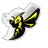 Triathlon Sticker by Tri Team 1.USC Traun