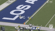 National Football League GIF by NFL