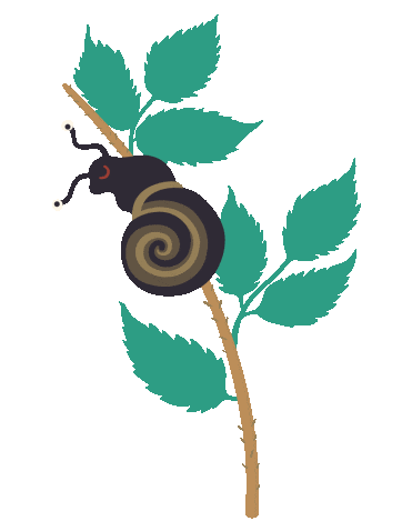 SaintSpore giphyupload toronto kombucha snail Sticker