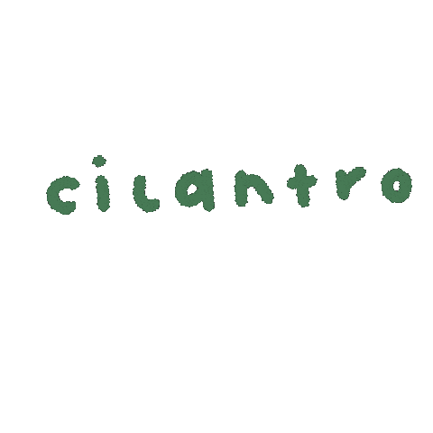 tansyandfreckle bunny rabbit cilantro holland lop Sticker