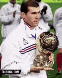 Zinedine Zidane GIF