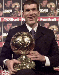 Zidane GIF