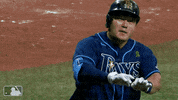 Celebrate Major League Baseball GIF by MLB