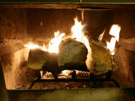 cozy GIF