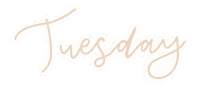 Week Tuesday Sticker
