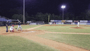 home run baseball GIF