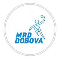Handball Slovenia Sticker by Rokometna zveza Slovenije